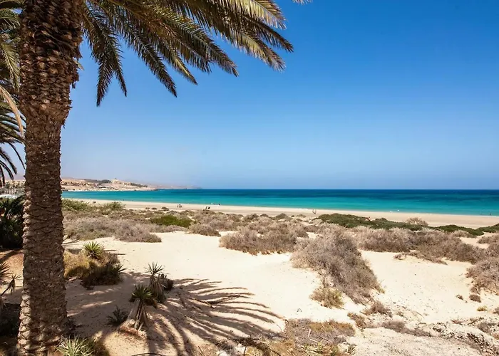 Near The With A Huge Terrace, Patio, Wifi And Parking Costa Calma