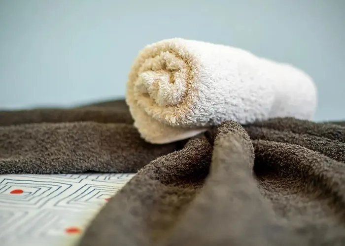 Near The With A Huge Terrace, Patio, Wifi And Parking